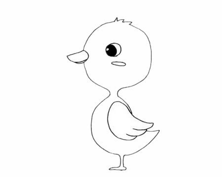 【雏鸭简笔画】可爱的雏鸭简笔画步骤图解教程及图片大全