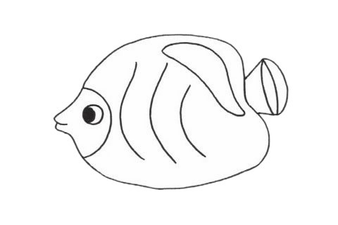 【鲽鱼简笔画】可爱的鲽鱼简笔画步骤图片大全