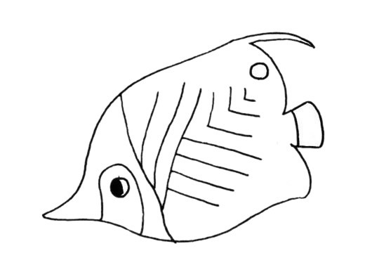 【鲽鱼简笔画】可爱的鲽鱼简笔画步骤图片大全