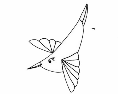 蜂鸟如何画 蜂鸟简笔画步骤画法教程及图片大全