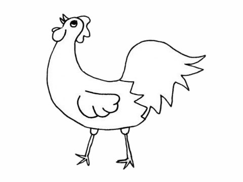 公鸡如何画 简单的公鸡简笔画步骤画法教程及图片大全