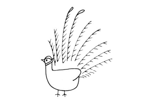 褐马鸡简笔画_超简单的褐马鸡简笔画步骤画法及图片大全