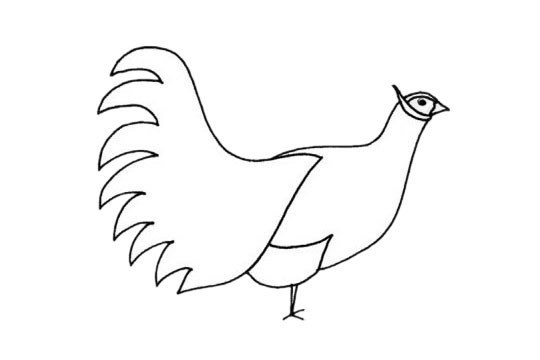 褐马鸡简笔画_超简单的褐马鸡简笔画步骤画法及图片大全