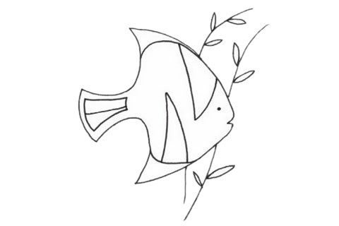黄鳍鲳简笔画步骤画法及图片大全