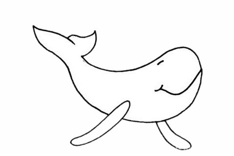 超简单的鲸简笔画步骤画法