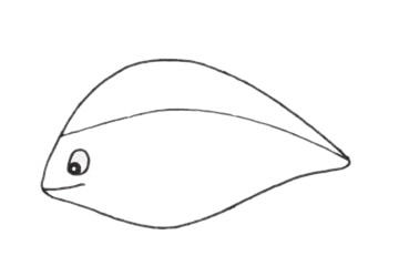 孔雀鱼如何画简单漂亮_孔雀鱼简笔画步骤图解教程