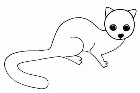 灵猫简笔画_灵猫简笔画步骤画法教程及图片大全