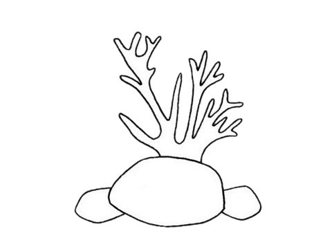 珊瑚超简单画法_珊瑚简笔画步骤图解教程及图片大全