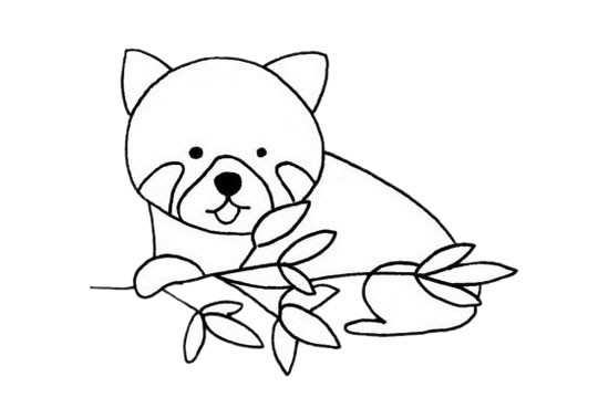 可爱的小熊猫简笔画步骤图解教程及图片大全