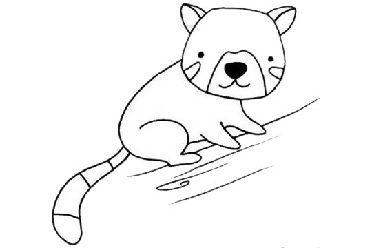 可爱的小熊猫简笔画步骤图解教程及图片大全