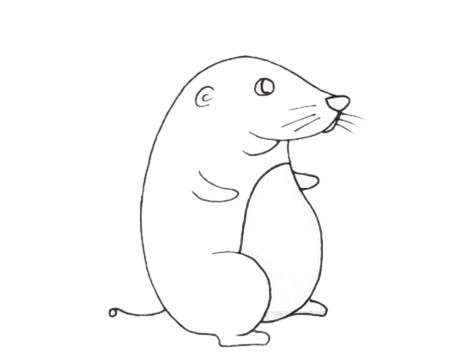 可爱的小鼹鼠简笔画_鼹鼠简笔画步骤图解教程及图片大全