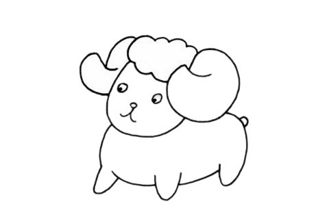 可爱的小羊简笔画步骤图解教程及图片大全
