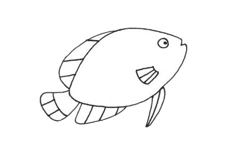 热带观赏鱼简笔画步骤画法教程/图片大全