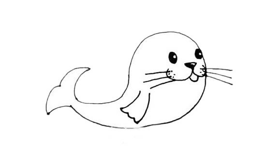 可爱的海豹简笔画图片_海豹简单画法步骤图解教程