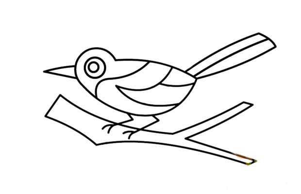 漂亮的喜鹊在枝头简笔画步骤图解教程