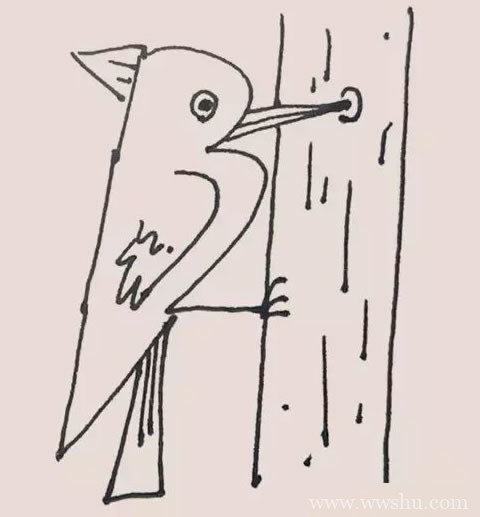 最好画的啄木鸟简笔画步骤画法教程