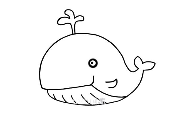 可爱的鲸鱼简笔画步骤画法图片教程