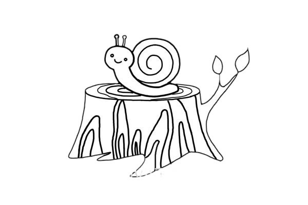 树桩上的蜗牛简笔画步骤画法图片大全