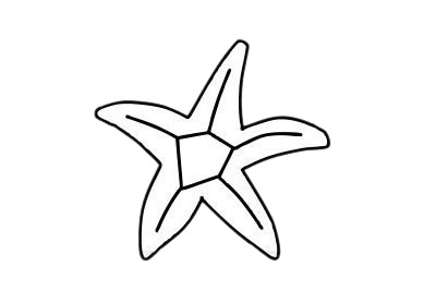 海星简笔画 线描海星简笔画简单步骤画法图