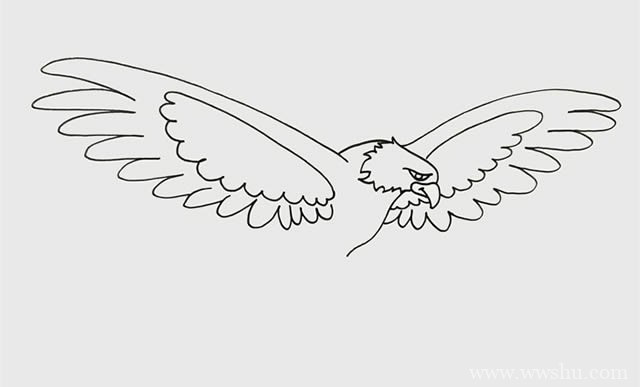 老鹰如何画_飞翔的老鹰简笔画步骤画法图片教程