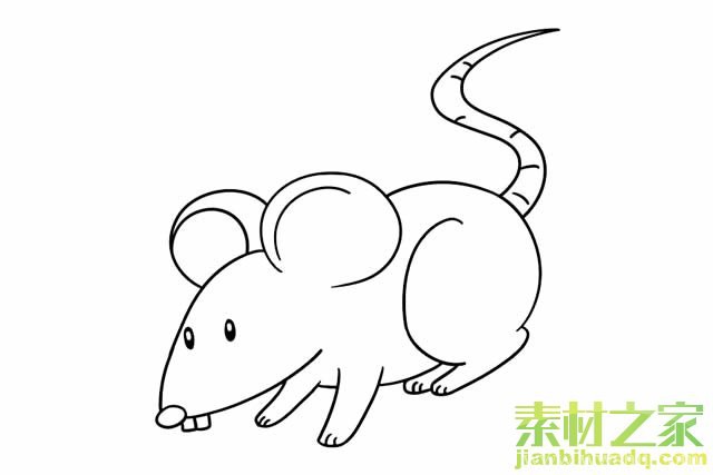 老鼠简笔画_老鼠简笔画步骤图解教程