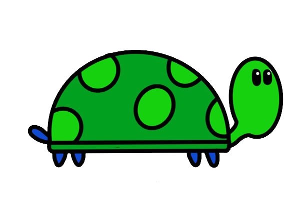 乌龟如何画漂亮又简单 可爱乌龟简笔画步骤画法教程