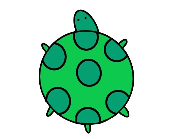 小乌龟简笔画图片