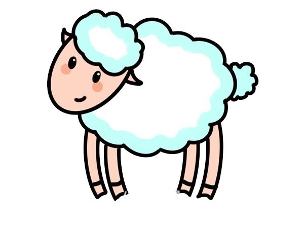简笔画绵羊的画法步骤图片