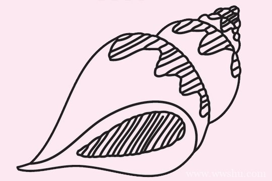 海螺简笔画简单画法步骤教程及图片大全