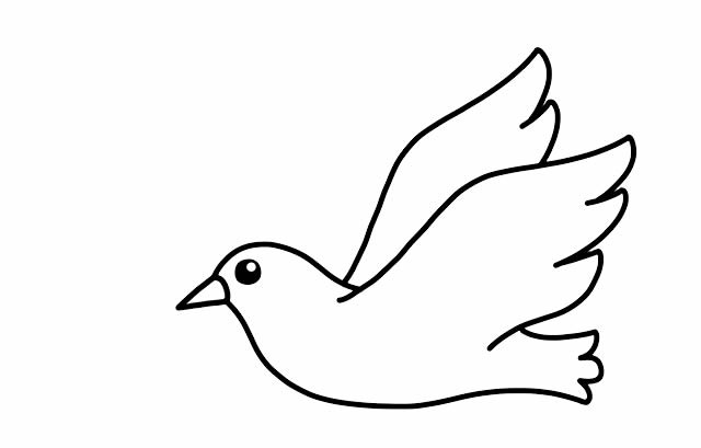 如何画鸽子简笔画画法步骤图解教程