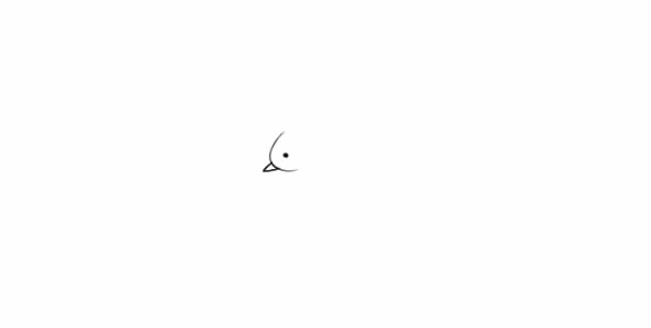 飞翔的小燕子简笔画步骤图片教程