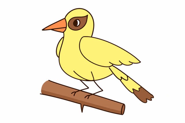 黄鹂鸟简笔画彩色图片