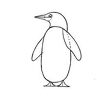 【企鹅简笔画四步画出】简单企鹅的画法步骤教程