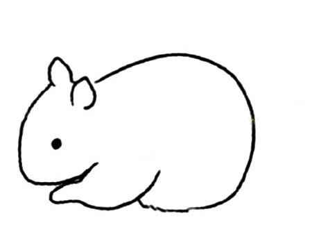 大尾巴小松鼠简笔画的画法步骤教程