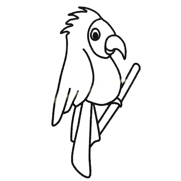 鹦鹉如何画简笔画步骤图片教程_7种鹦鹉简笔画图片大全