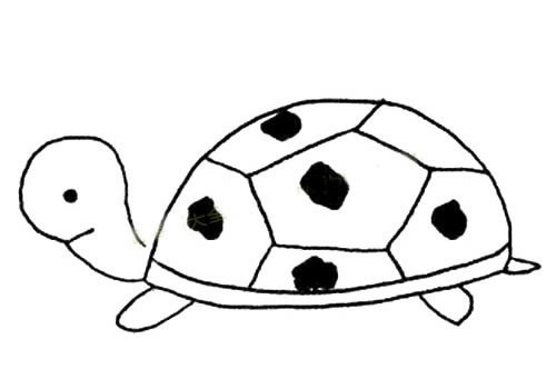 【简单的乌龟如何画】简单的乌龟简笔画图片大全