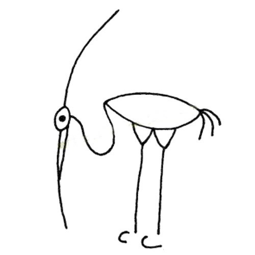 【丹顶鹤简笔画图片】6种不同的丹顶鹤简笔画画法图片