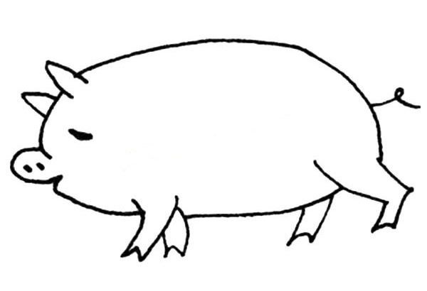 【猪的简笔画】可爱的大肥猪简笔画画法图片