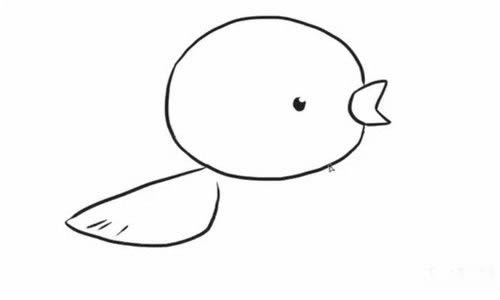 黄鹂鸟如何画简笔画 - 简单六步画出黄鹂鸟简笔画步骤教程