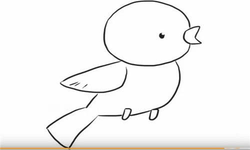 黄鹂鸟如何画简笔画 - 简单六步画出黄鹂鸟简笔画步骤教程