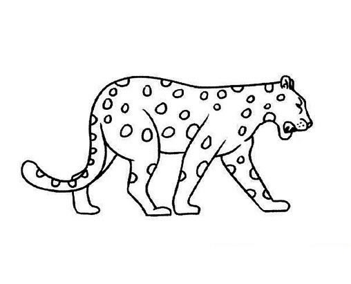 美洲豹简笔画 - 儿童简笔画美洲豹的画法
