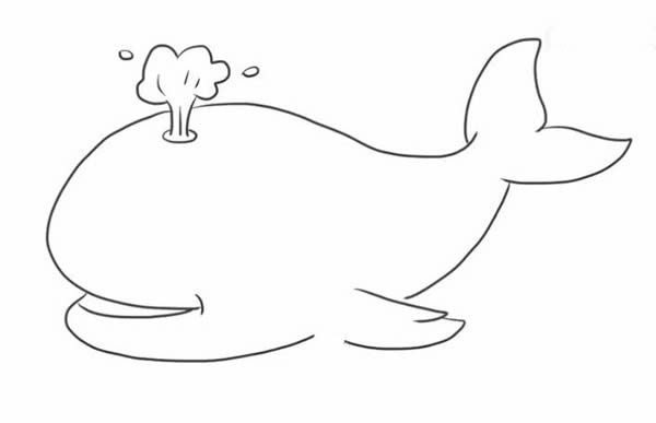 鲸鱼简笔画图片 卡通鲸鱼简笔画的画法教程 鲸鱼如何画