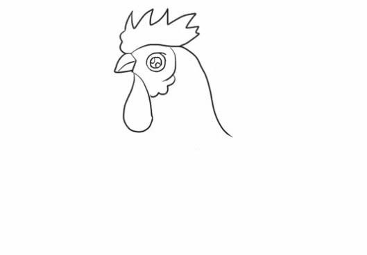 大公鸡简笔画的画法步骤教程 卡通大公鸡简笔画如何画