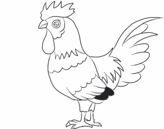 大公鸡简笔画的画法步骤教程 卡通大公鸡简笔画如何画