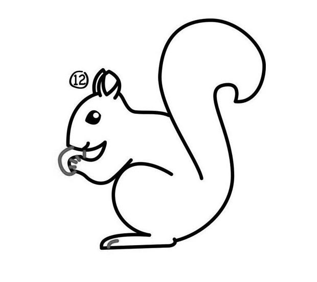 吃松果的小松鼠简笔画图片_松鼠简笔画