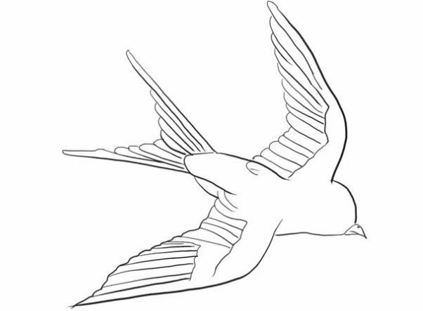 小燕子简笔画步骤图解 - 展翅飞翔的燕子简笔画如何画