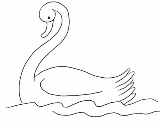 水中的白天鹅简笔画步骤图解教程 - 如何画白天鹅简笔画