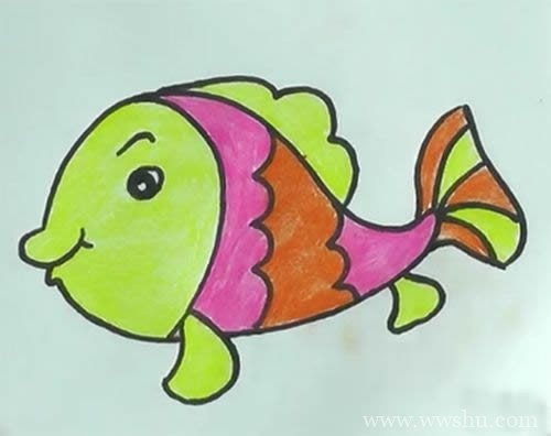 可爱小金鱼简笔画彩色图片 小金鱼简笔画步骤图解教程