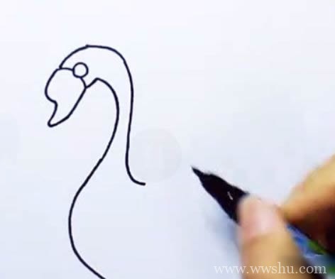 天鹅简笔画如何画 黄色的天鹅简笔画的画法步骤图解教程