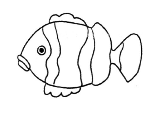 小丑鱼简笔画如何画 简单的小丑鱼简笔画的画法步骤图片